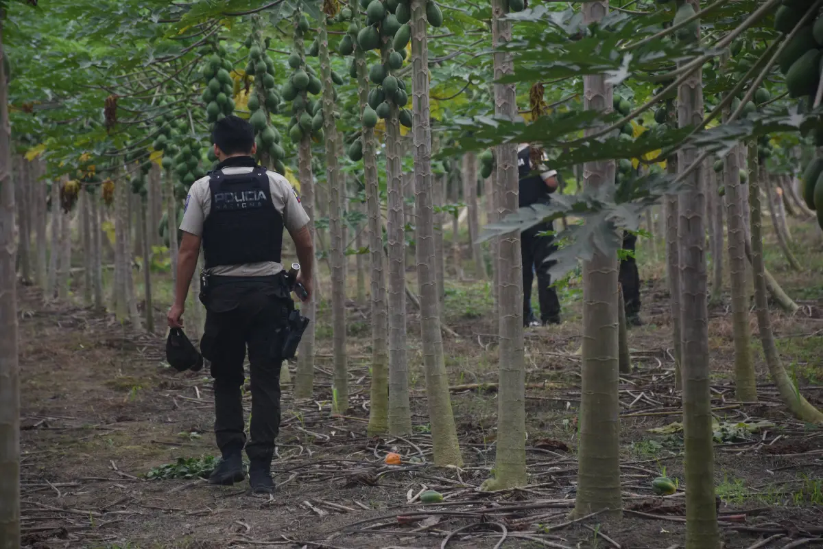 Santo Domingo ADN confirma identidad de adolescente desaparecida hace un año; familia exige justicia