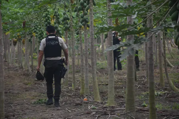Santo Domingo ADN confirma identidad de adolescente desaparecida hace un año; familia exige justicia