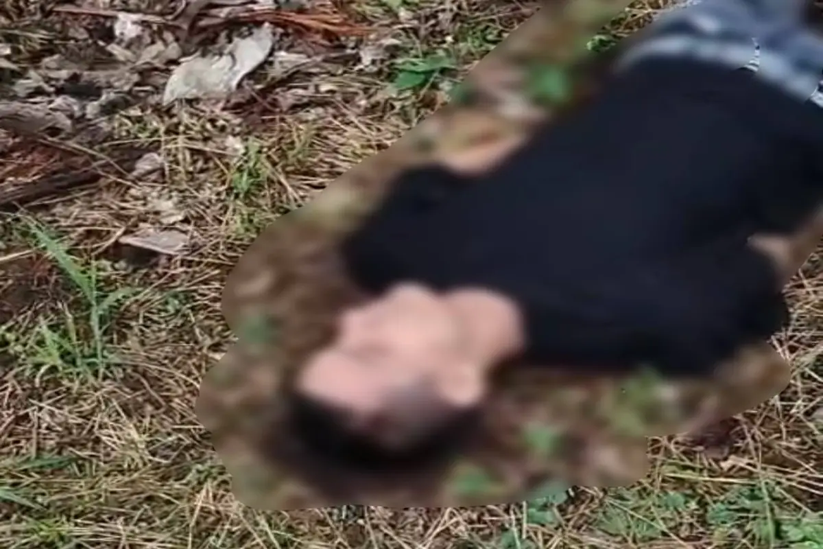 El cuerpo fue encontrado entre los matorrales de la zona., Cortesía
