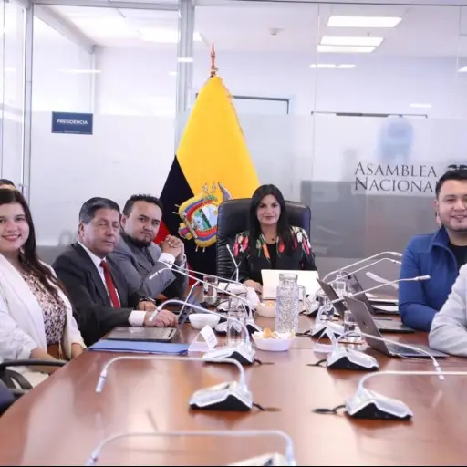 Asamblea activa revisión patrimonial de alcaldes y prefectos: así puede enviar una denuncia ciudadana