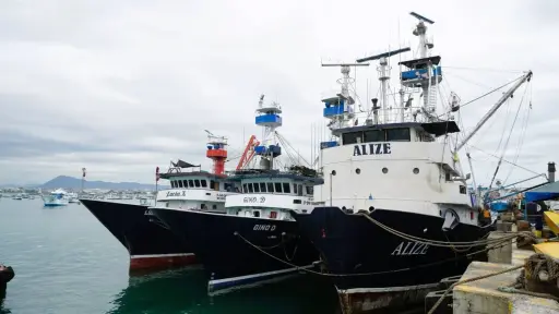 Flota atunera definirá hasta el 15 de julio los buques que se acogerán a la primera veda