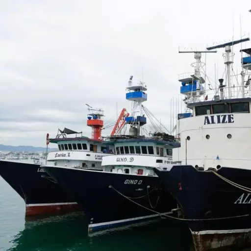 Flota atunera definirá hasta el 15 de julio los buques que se acogerán a la primera veda