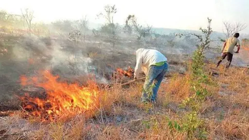 Las quemas agrícolas concentran la atención en campaña para prevenir incendios en Manabí