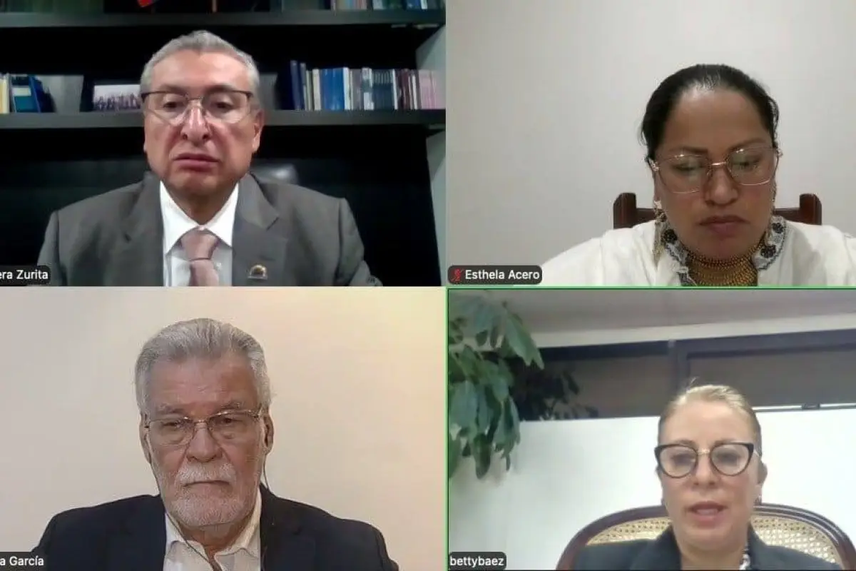 Consejo Nacional Electoral completa integración de juntas electorales provinciales., X: @cnegobec