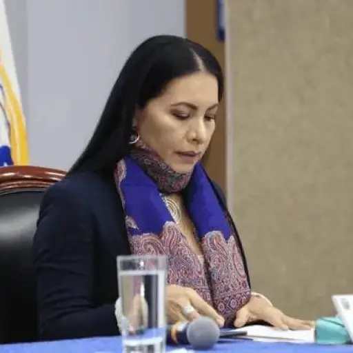 Lo que enfrentará Diana Atamaint en la audiencia convocada por el TCE