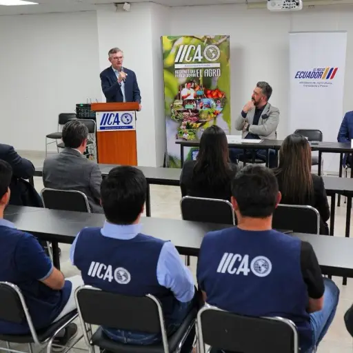 La nueva alianza que busca llevar al banano ecuatoriano a un nivel más competitivo