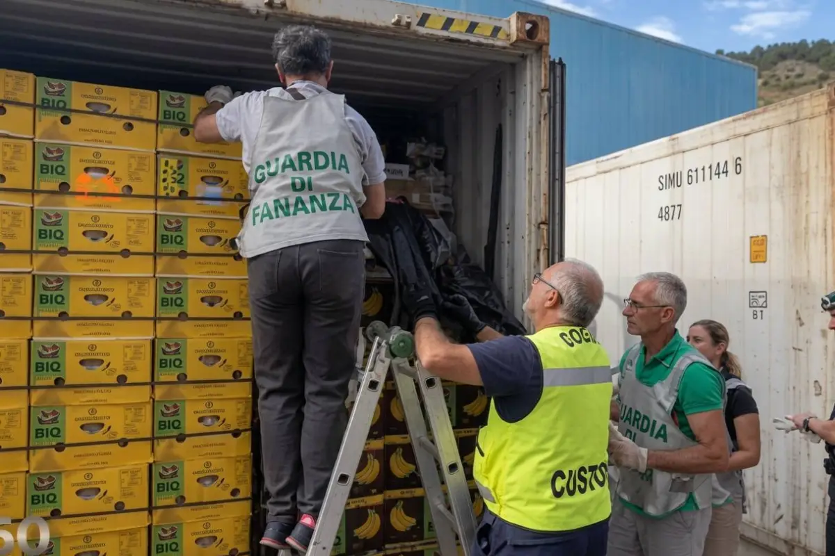El cargamento de droga estaba camuflado en fundas, ubicadas denro de las cajas de banano ecuatoriano., Foto: Autoridades de Italia