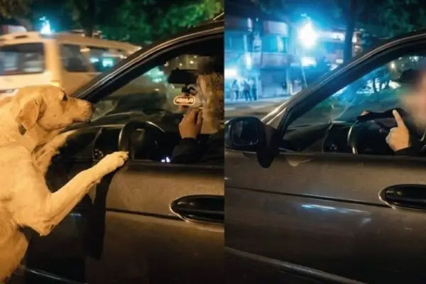 Captura del video que se viralizó. ,Cortesía