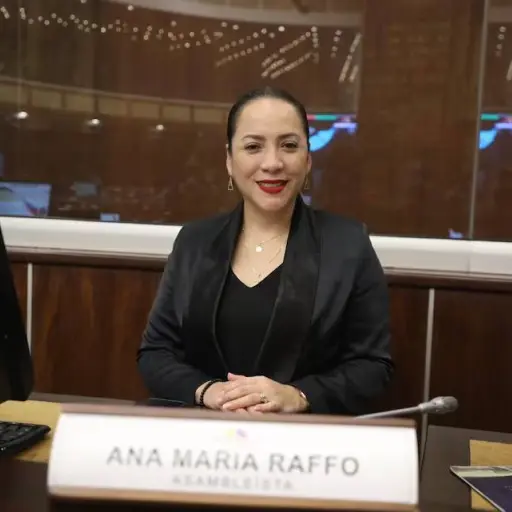 CAL suspende por nueve días a Ana María Raffo; legisladora denuncia represalia política