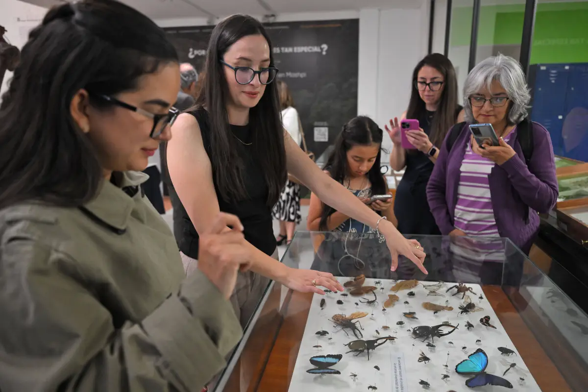Ana García (2-L), investigadora del Instituto Nacional de Biodiversidad (INABIO), muestra a visitantes especímenes conservados de insectos y artrópodos recolectados en la reserva privada Mashi-Tayra., RODRIGO BUENDIA / AFP