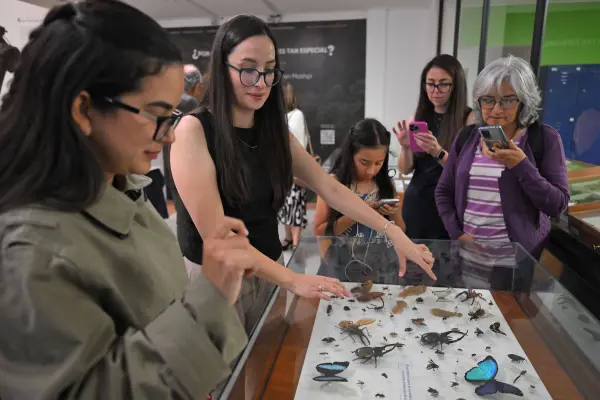 Ana García (2-L), investigadora del Instituto Nacional de Biodiversidad (INABIO), muestra a visitantes especímenes conservados de insectos y artrópodos recolectados en la reserva privada Mashi-Tayra. ,RODRIGO BUENDIA / AFP