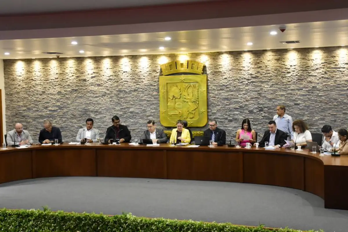 De aprobarse las reformas al COOTAD, esto limitaría a concejales presentar ordenanzas.