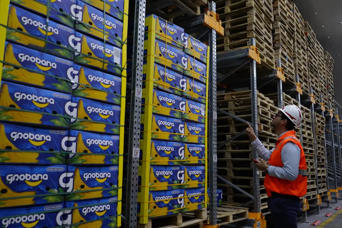 Estados Unidos se mantiene como el destino histórico más sólido, siendo el principal comprador de varios productos tradicionales, con un fuerte peso en banano, flores, enlatados de pescado y también camarón., César Muñoz/API