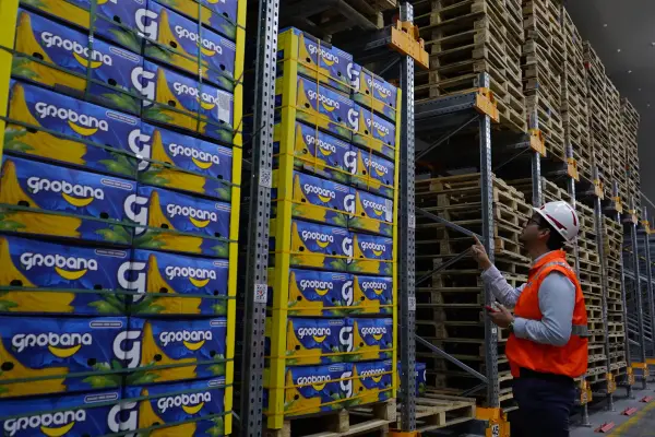 Estados Unidos se mantiene como el destino histórico más sólido, siendo el principal comprador de varios productos tradicionales, con un fuerte peso en banano, flores, enlatados de pescado y también camarón. ,César Muñoz/API