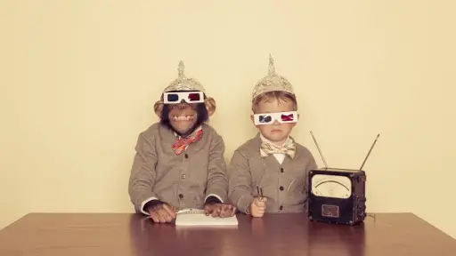 Estudio revela que niños y monos comparten una comprensión básica de la geometría