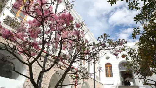 Centro de Arte Contemporáneo reabre su ala norte con dos nuevas exposiciones