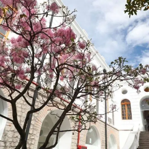 Centro de Arte Contemporáneo reabre su ala norte con dos nuevas exposiciones