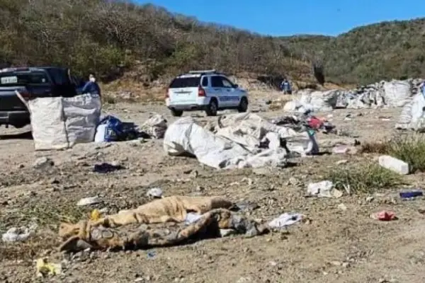 Agentes de la Policía Nacional llegaron al lugar de los hechos para iniciar con las investigaciones. ,Foto: Cortesía