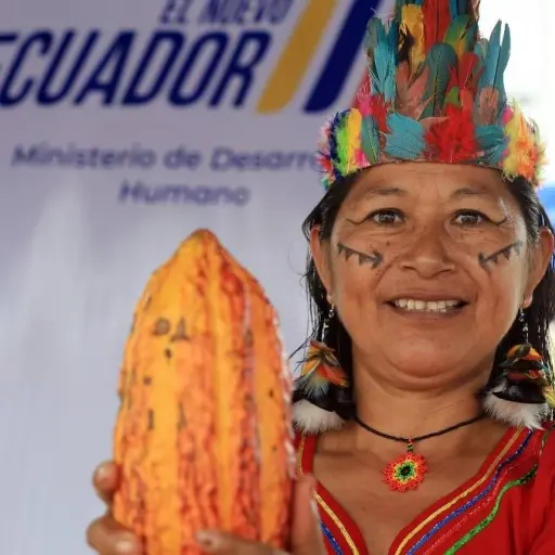 Proyecto Emprender otorga capital semilla de hasta 80 mil dólares en Ecuador: así puede postular